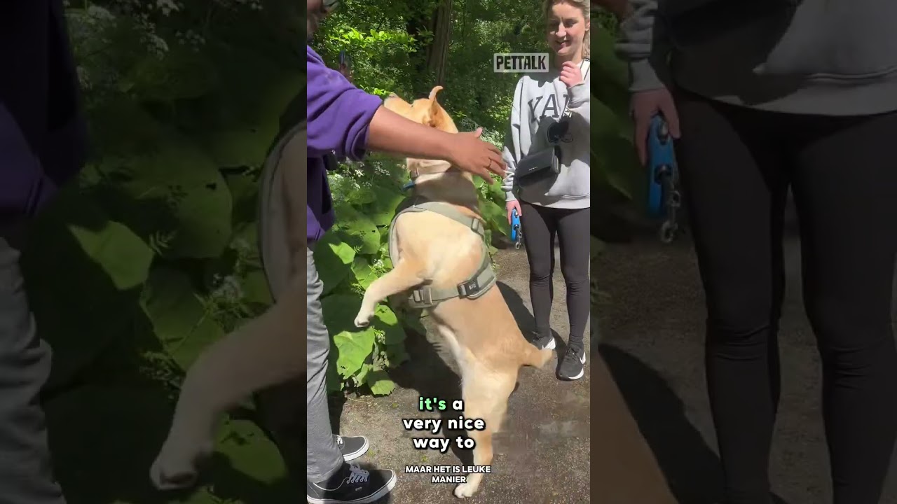 Marley Meets PetTalk