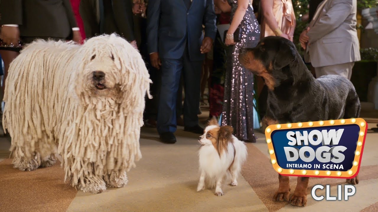 Show Dogs - Entriamo in scena. Clip 