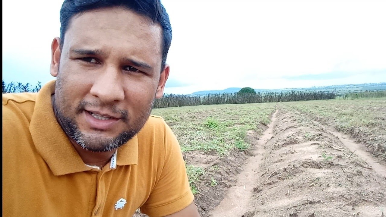 Nova plantação de Maracujá 2022 veja como fazer