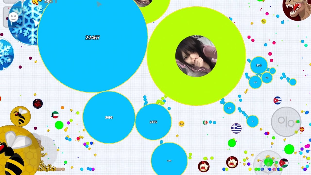 【Agar.io Mobile】Duo in Good Bots Server