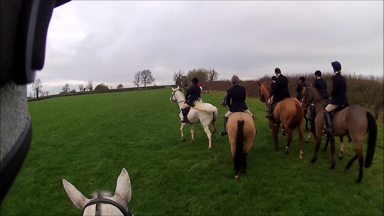 Lady Tilly, Atherstone Hunt- Kennels 2/12/2017