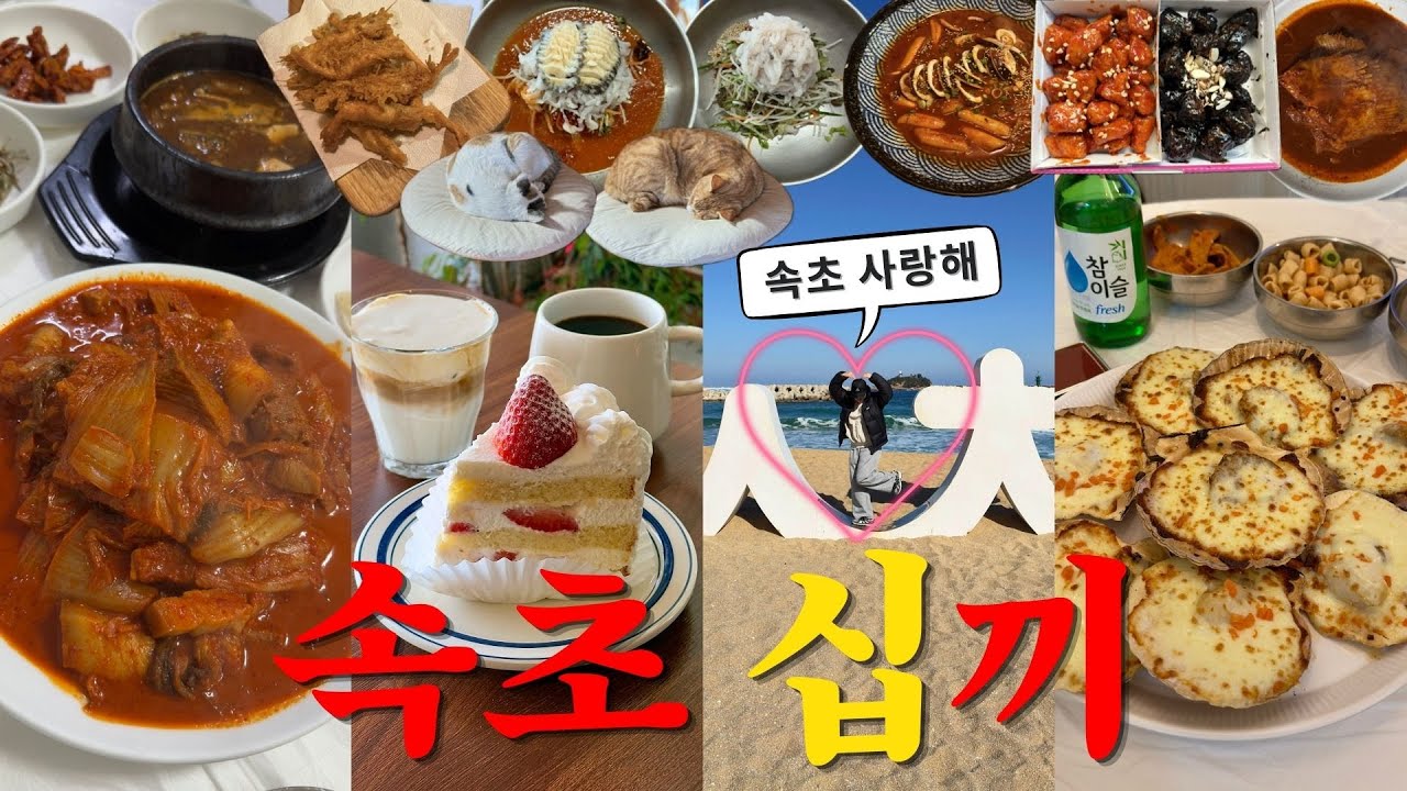 속초 여행 많이도 먹었다!! 라고 하신다🪭 with 속초아이파크스위트호텔🏨