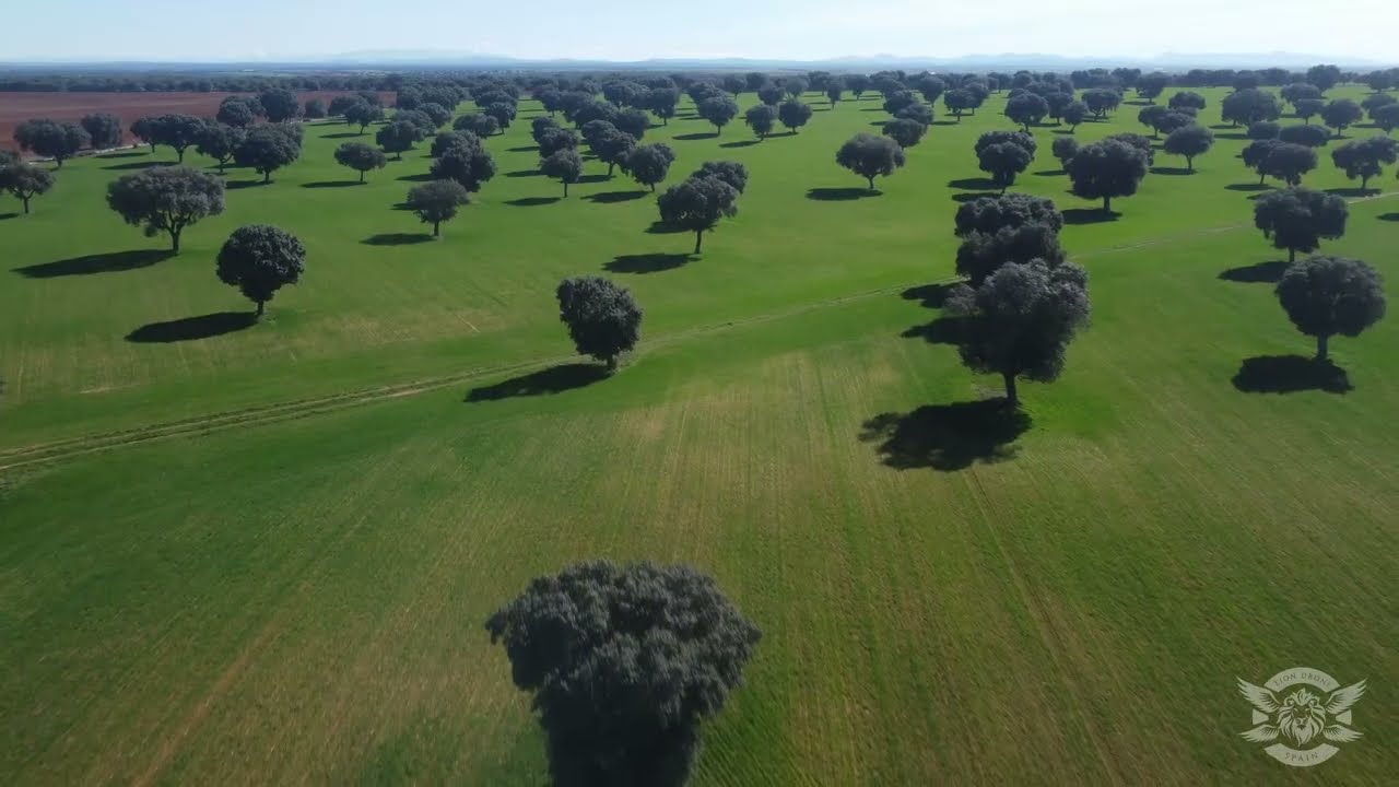Campo Charro en Salamanca