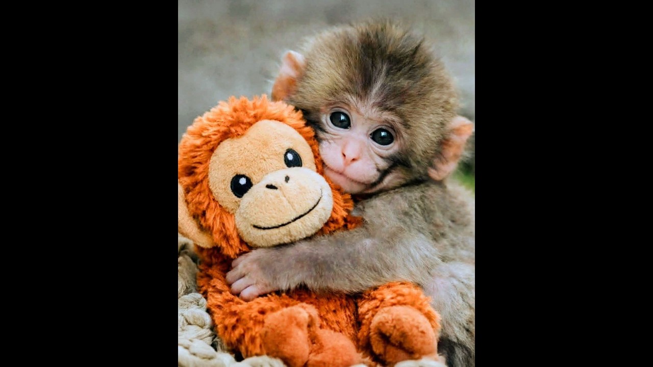 🐕 Лучшая подборка месяца! 😺 Смешные видео с животными! 🐈