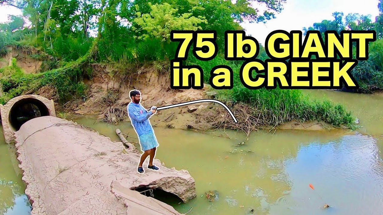 The SMALLEST CREEKS have the BIGGEST FISH!!