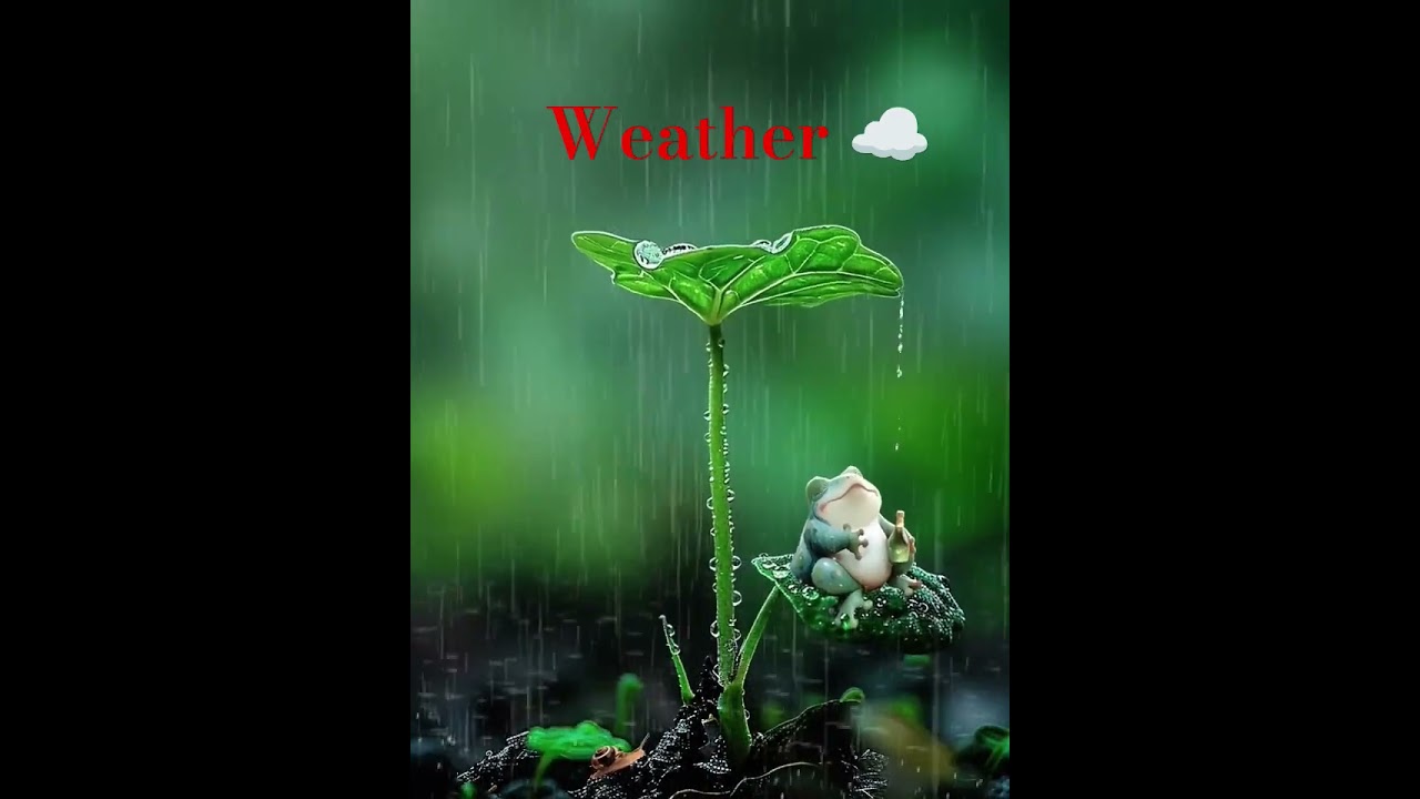 #rain #reels #cute #nture #shortvideo #reel #shortvideo #love