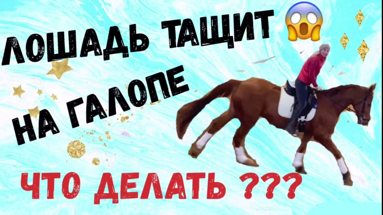 ЛОШАДЬ ТАЩИТ НА ГАЛОПЕ