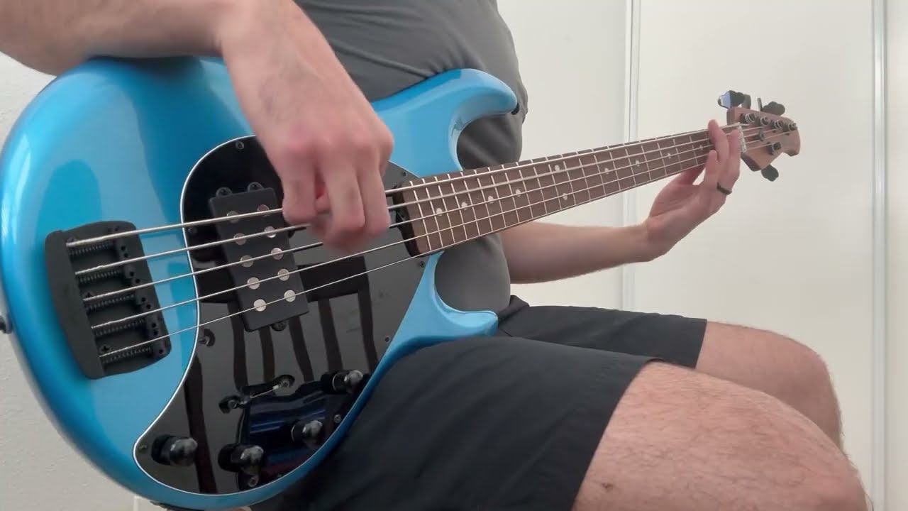 Rage Against The Machine - Bombtrack (Bass Cover)