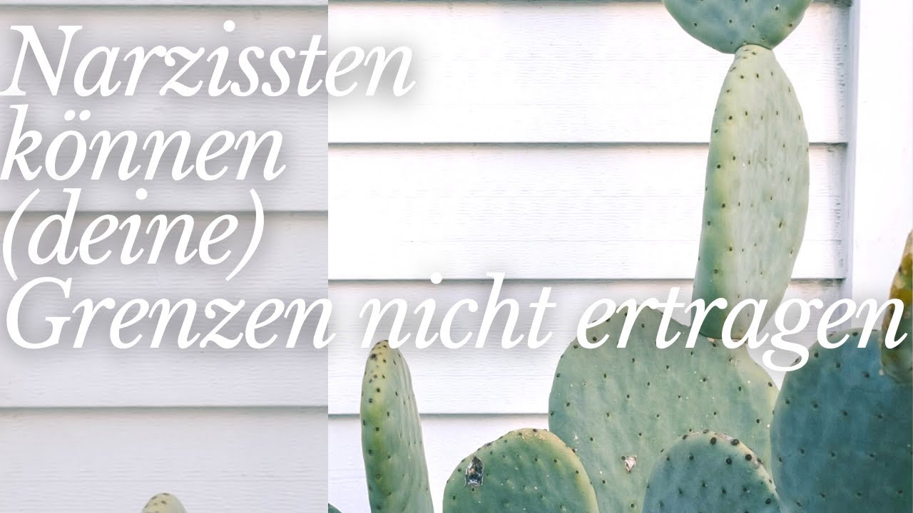 Narzissten trainieren dich keine Grenzen zu haben!!! [Warum du keine (kaum) Grenzen hast]