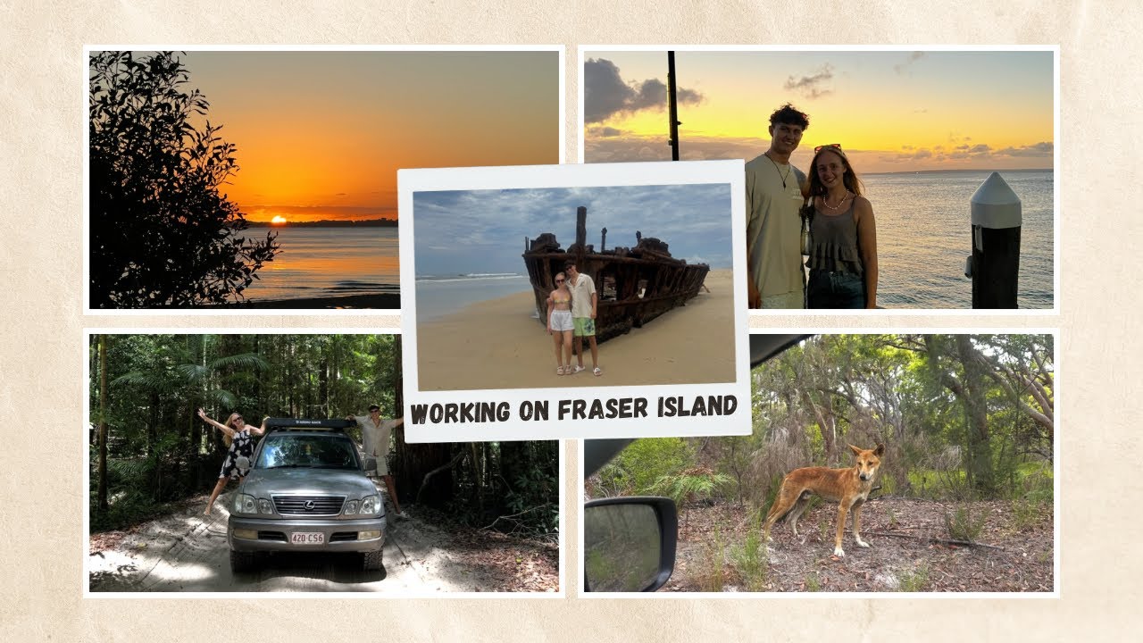 Working on Fraser Island 🏝️🌊🐚