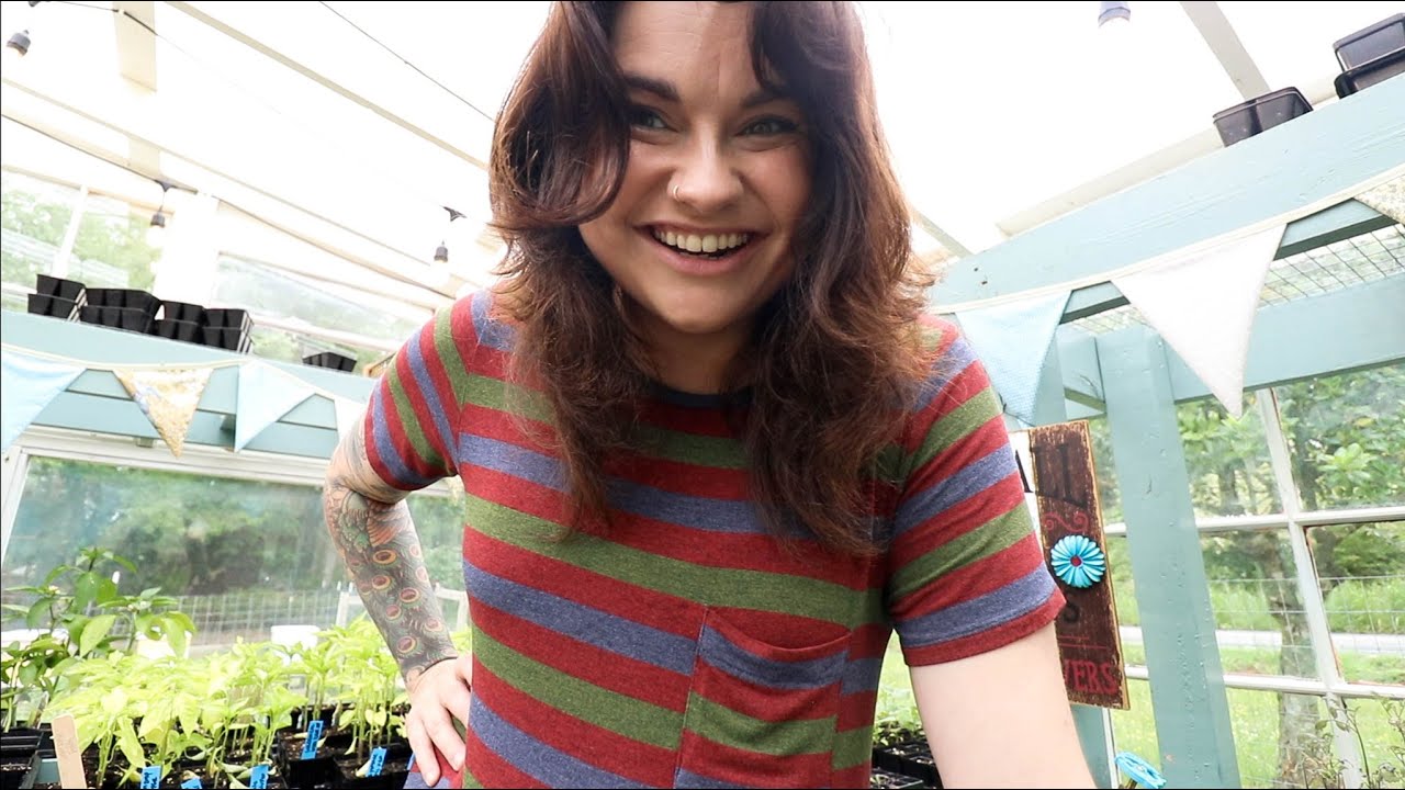 The Wildness of Mornings like This | VLOG