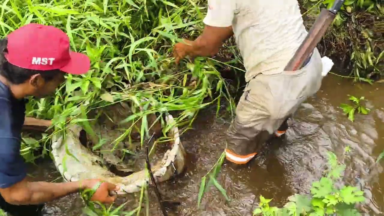 Resolvemos ir pescar camarão 🦐🦐