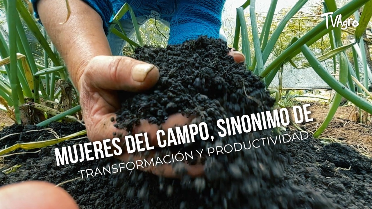 Mujeres del campo, sinónimo de transformación y productividad - TvAgro por Juan Gonzalo Angel