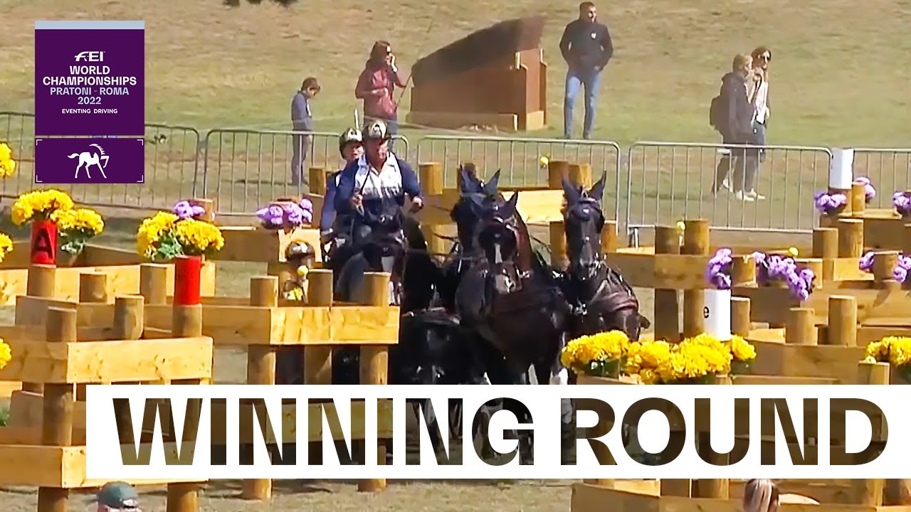 Boyd Exell WINNING ROUND | FEI Driving World Championship 2022