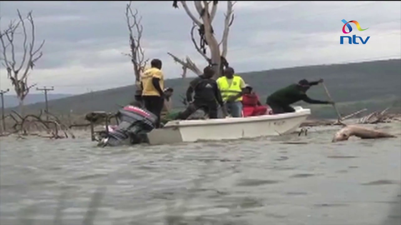Two bodies from fatal Lake Nakuru chopper crash recovered