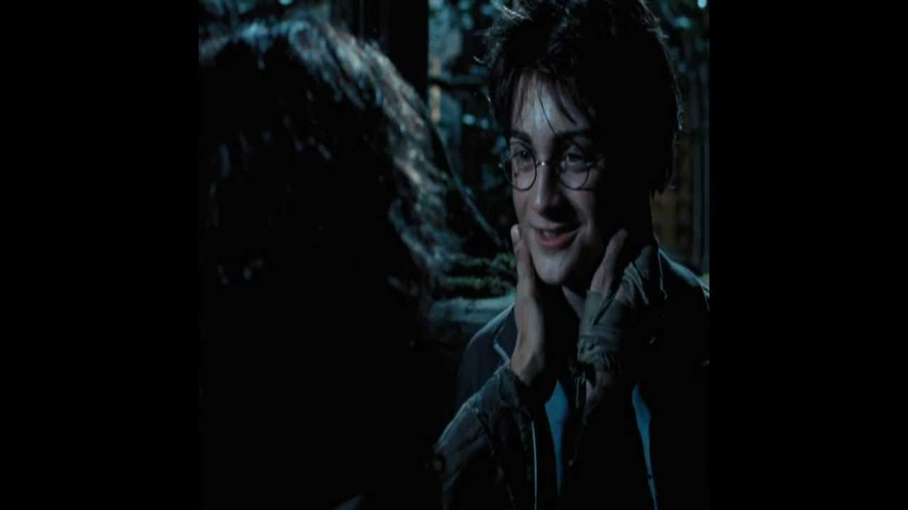 See You Again || Harry Potter