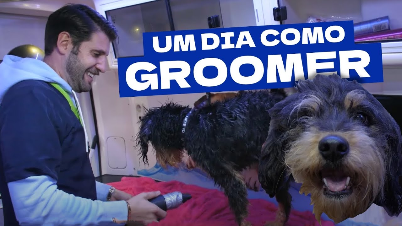 Um dia como GROOMER (banho e tosquia)