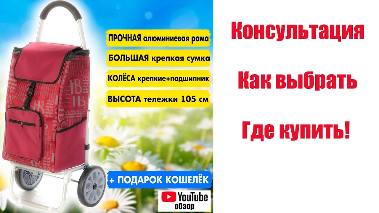 Как выбрать Сумка тележка Консультация профессионала