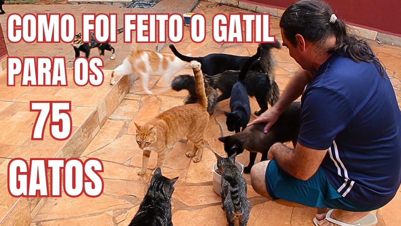 COMO FOI FEITO E QUANTO CUSTOU O GATIL PARA 75 GATOS