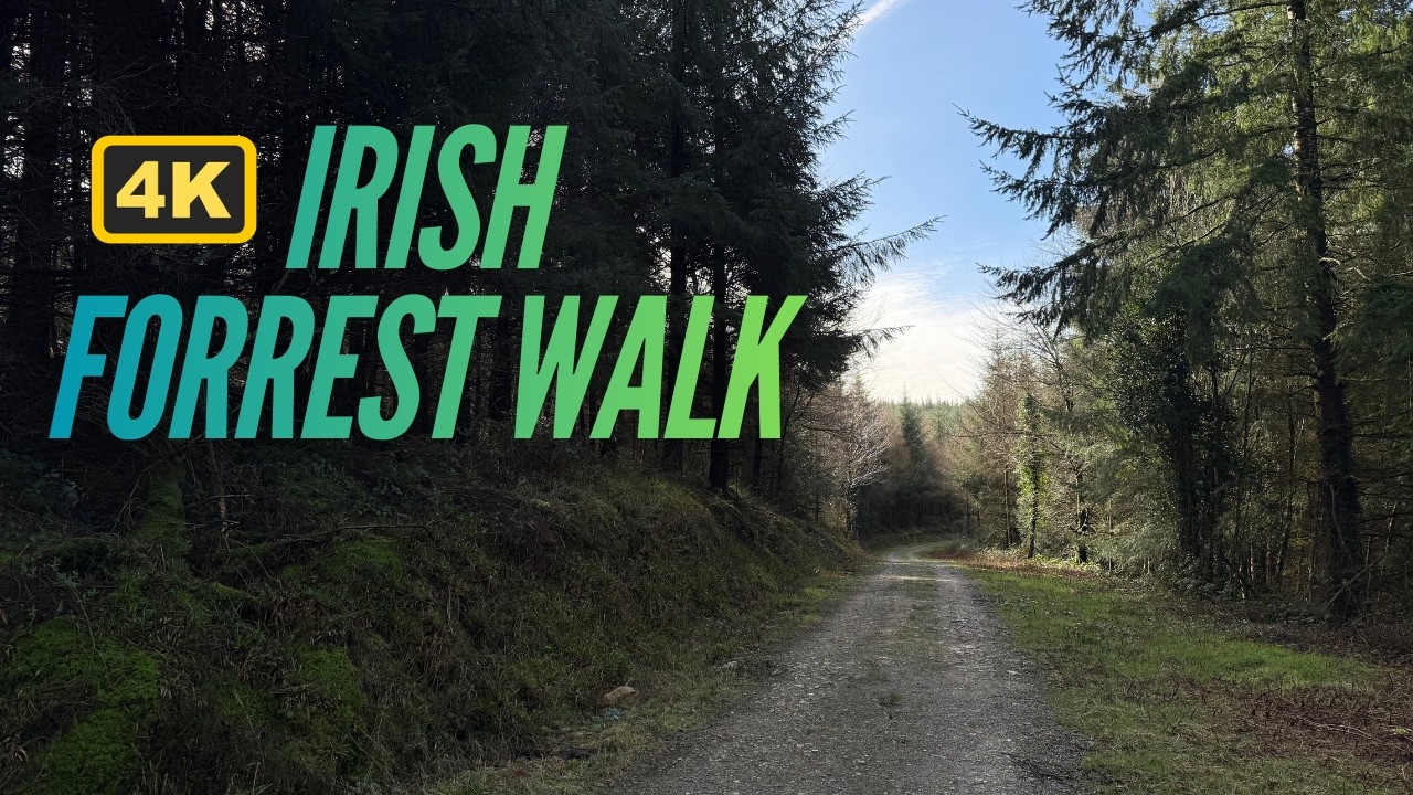 4K Irish Forrest Walk | Relaxing Nature Sounds | Carrig Rua Hill, Wexford