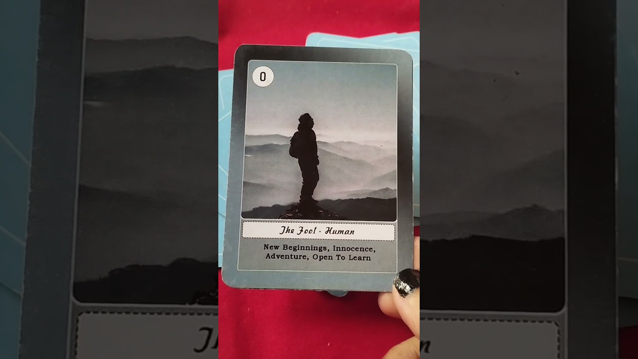 Universal #destinytarot #guidance#divineguidance #destinyguidance 😍✌🦚