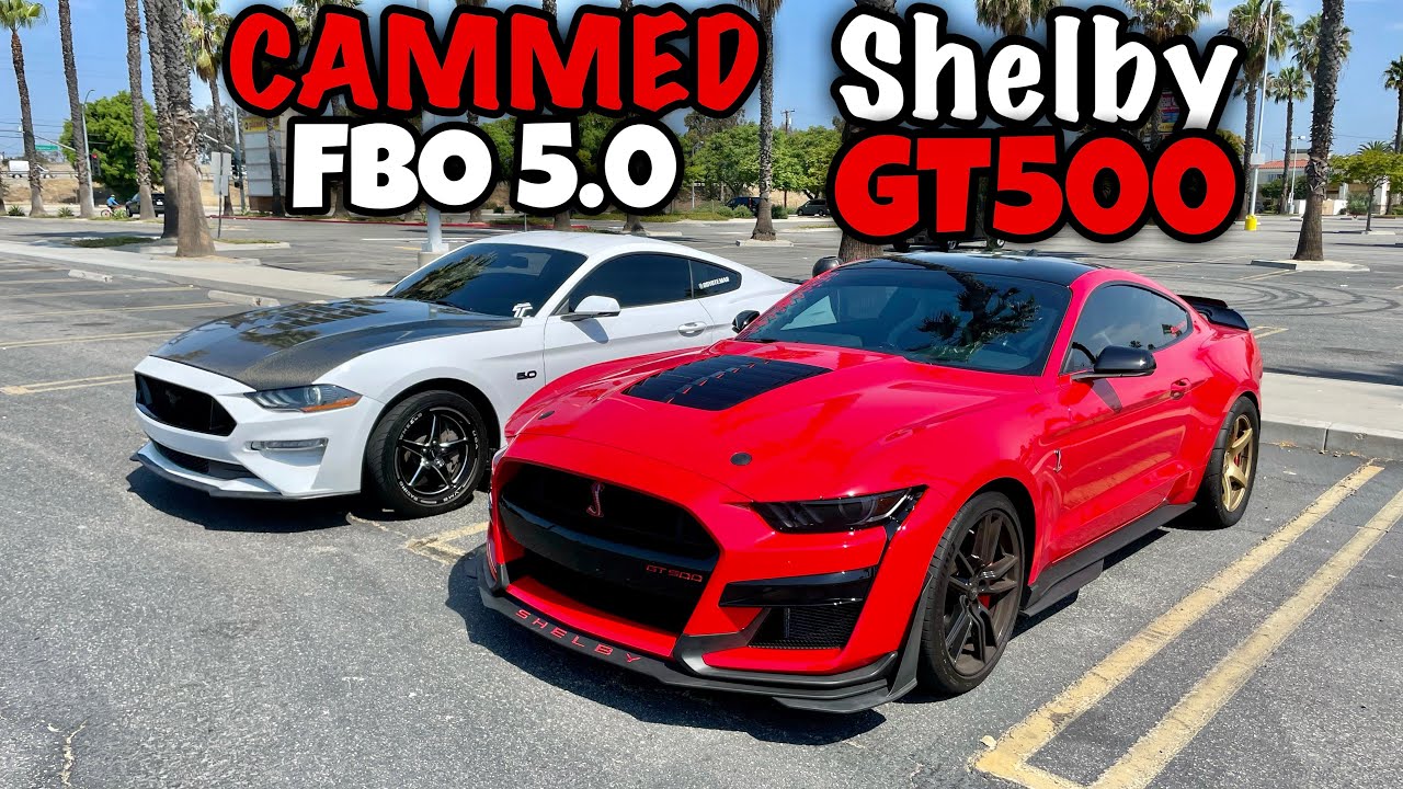 FBO CAMMED 10 Speed Mustang GT vs SHELBY GT500!
