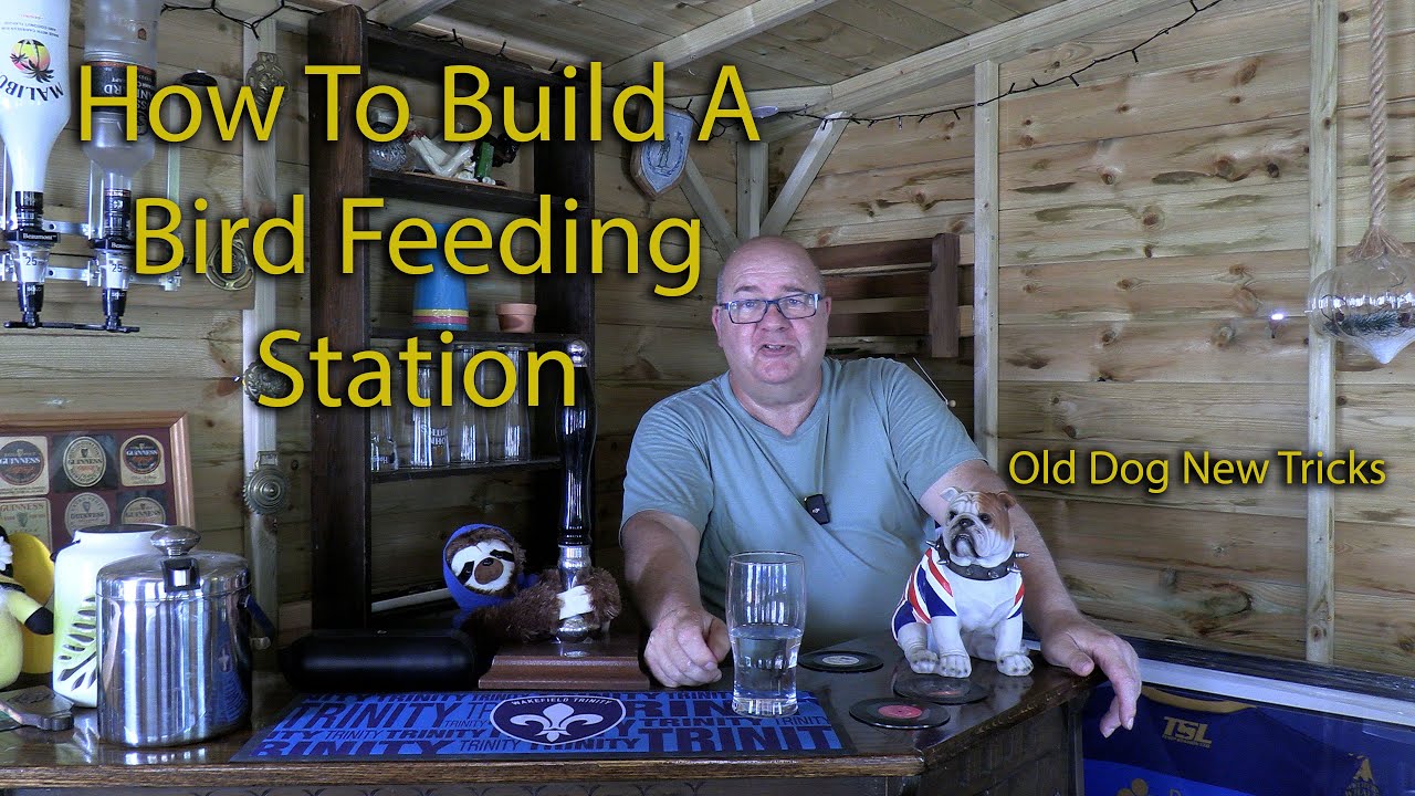 How To Build A Bird Feeding Station