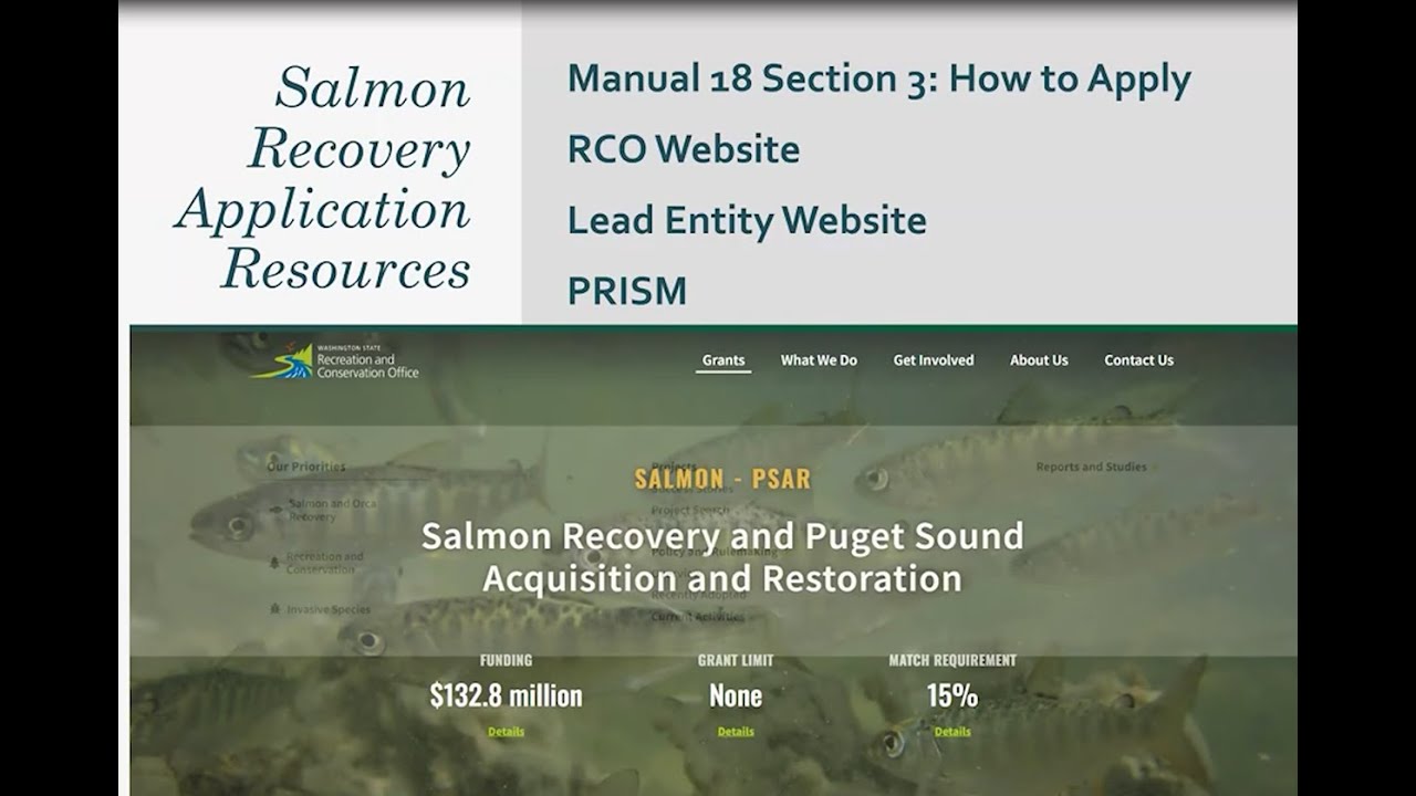 Salmon Grants Application Tips (2025)