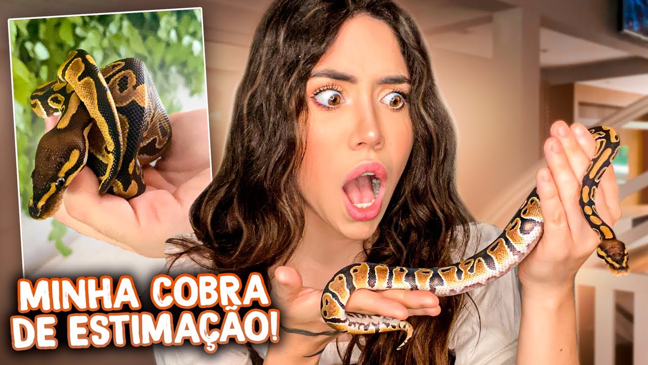 COMPREI UMA *COBRA* (PYTHON BALL)!