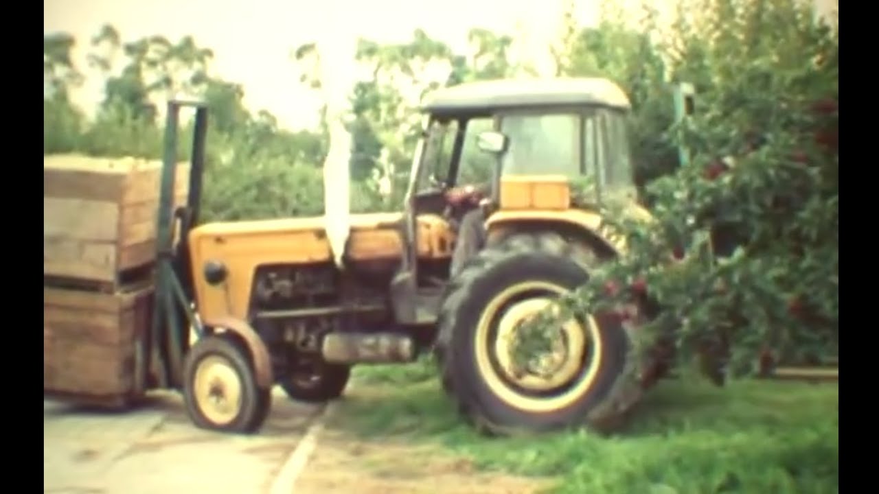 MECHANIZACJA ZBIORU OWOCÓW cz 1