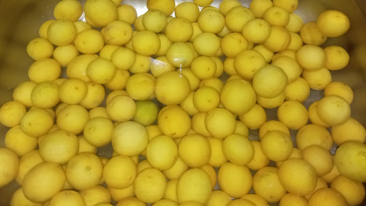 طريقه تخزين اليمون🍋من غير افتكسات كتير 👍 🍋 