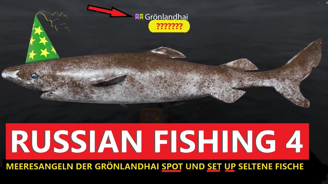 Russian Fishing 4 Meeresangeln der Grönlandhai Spot und Set Up seltene Fische