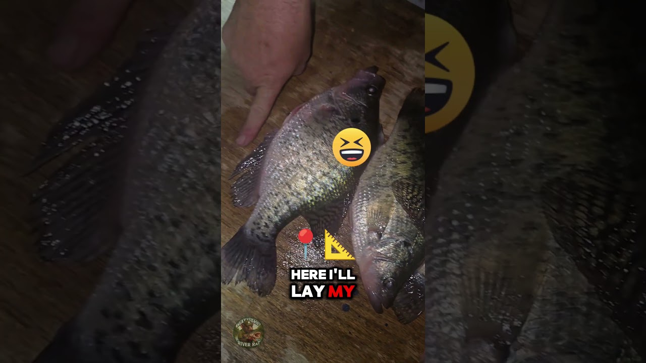 The bigguns were hungry that day 👌🎣🎣 just ask Timmy 😂 