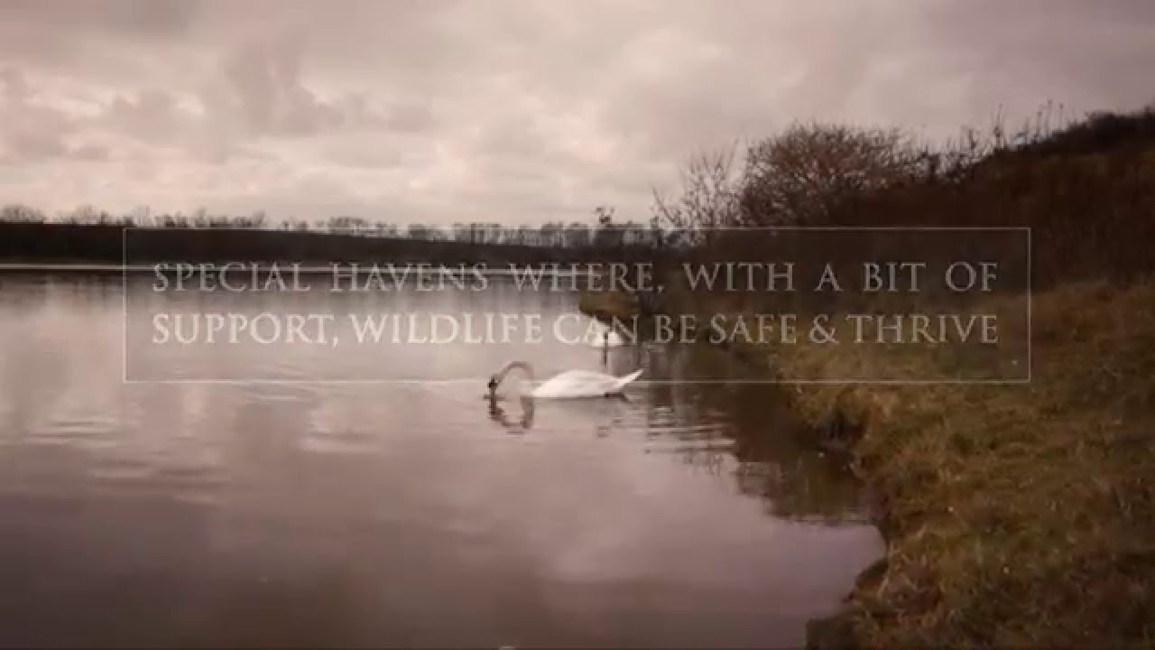Northumberland Wildlife Trust - Promotional Film