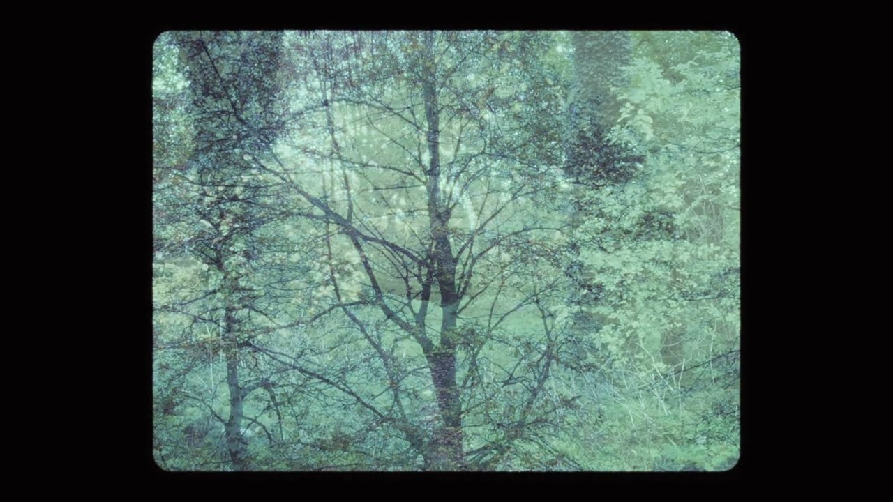 Contraponto - Eugenio De Andrade