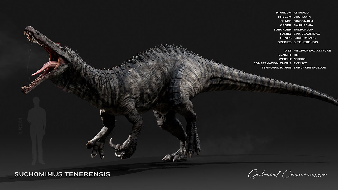 Suchomimus 3D Animation