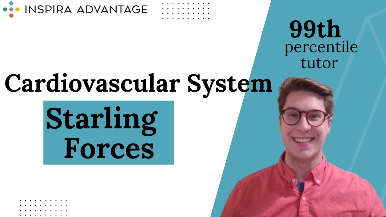 MCAT Bites: The Cardiovascular System: Starling Forces | Inspira Advantage