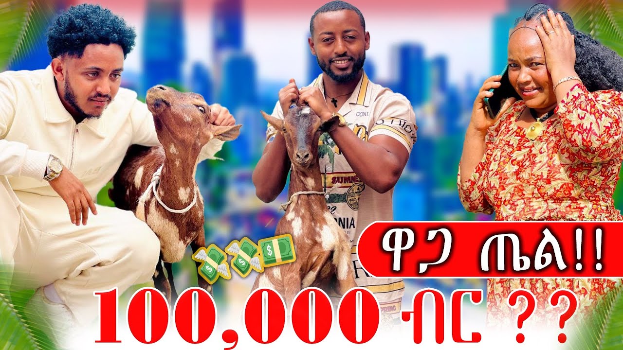 📣ወላዲተይ ደንጊፃ😱ዋጋ ሓደ ጤል ሚእቲ ሽሕ ብር😱😱