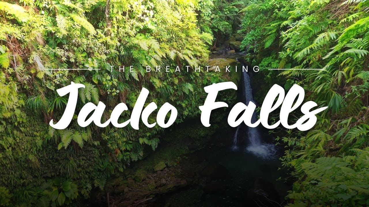 Jacko Falls | Dominica