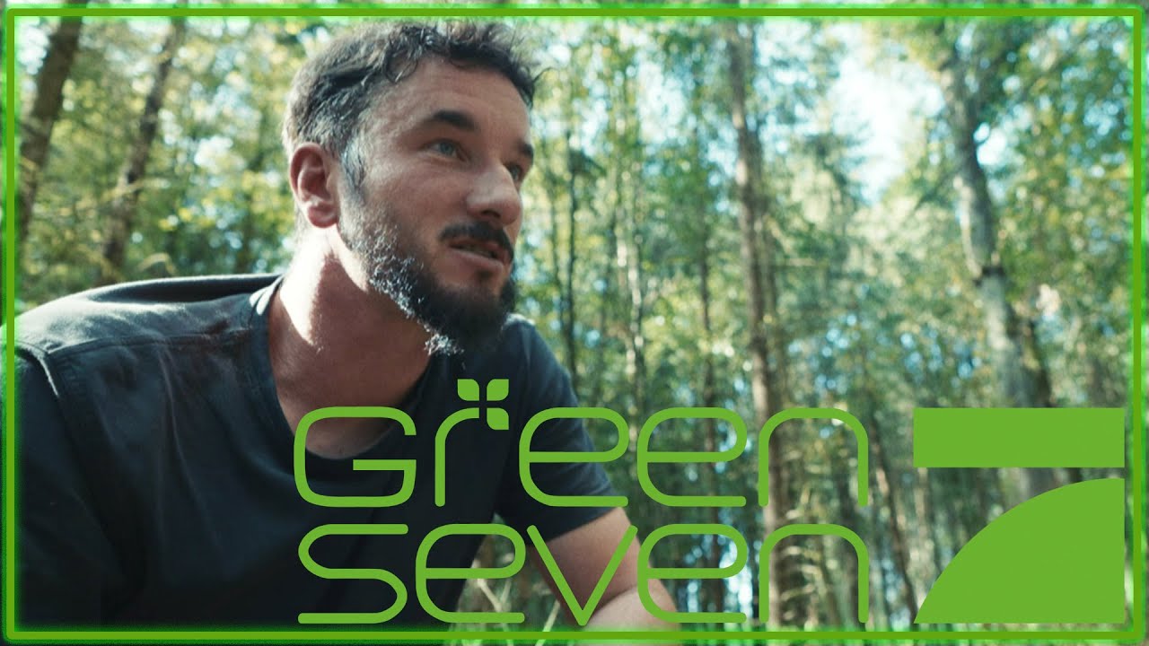 Ein gesunder Wald sch&uuml;tzt uns 💚 Wie sch&uuml;tzen wir ihn? | Green Seven Report