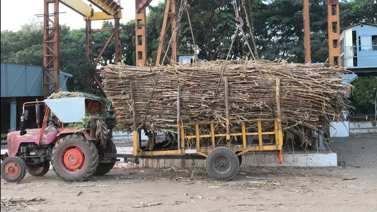 साखर कारखान्यात उसाची गाडी कशी खाली केली जाते ते बघा. ट्रॅक्टर ट्रॉलीमधून ऊस अनलोड करण्याची संपूर्ण 