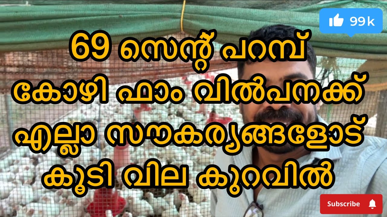 #139 #പാലക്കാട് ജില്ലയിൽ കോങ്ങാട് പഞ്ചായത്തിൽ #പറമ്പ് #lowbudget #palakkadproperties #realestate