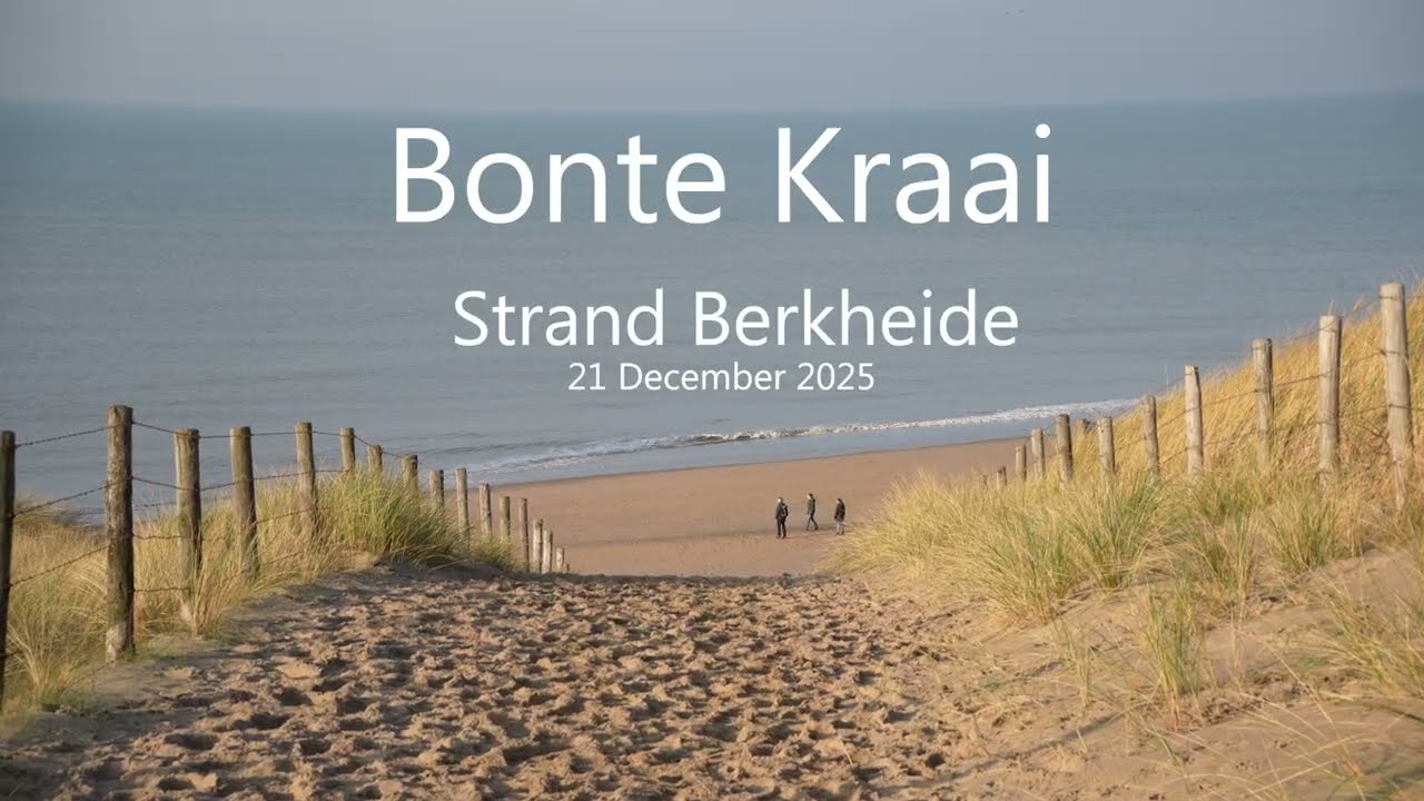 Bonte Kraai Berkheide 21 December 2025