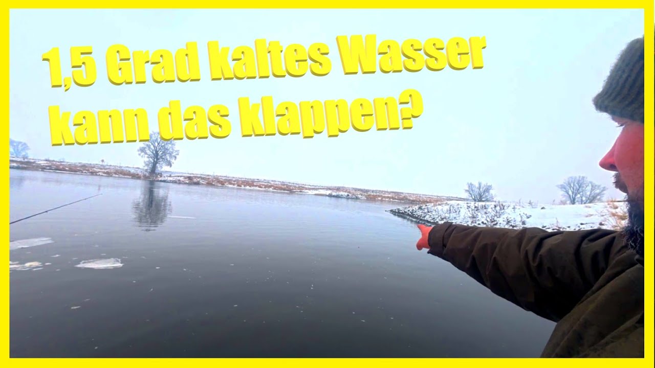 Winterangeln am Fluss bei 1,5 Grad Wassertemperatur: Ist hier überhaupt noch Leben?