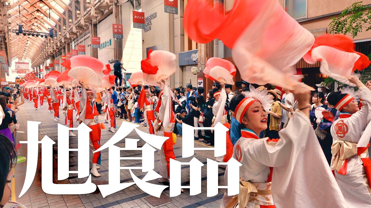 【創業100年】旭食品 | 高知よさこい祭り | 2023年