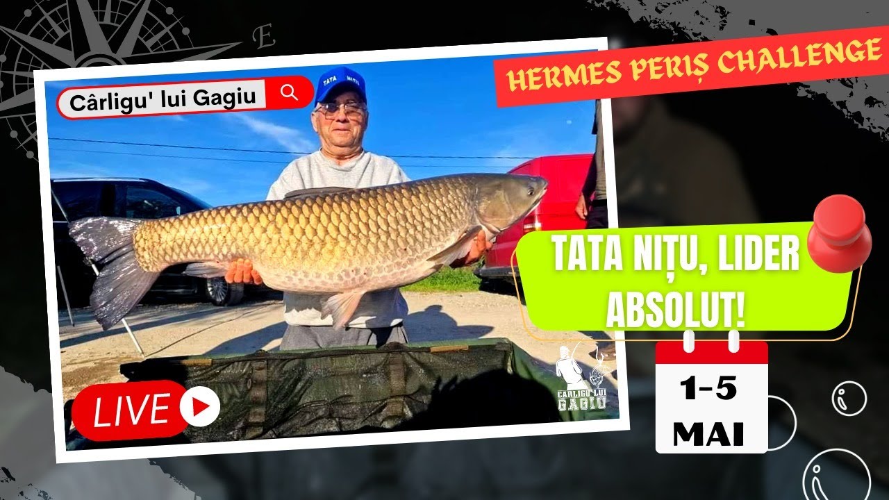 FABULOS! Cătălin Borcan, șocat de stilul de pescuit al lui Tata Nițu! Scor: 600 kg - 0 kg