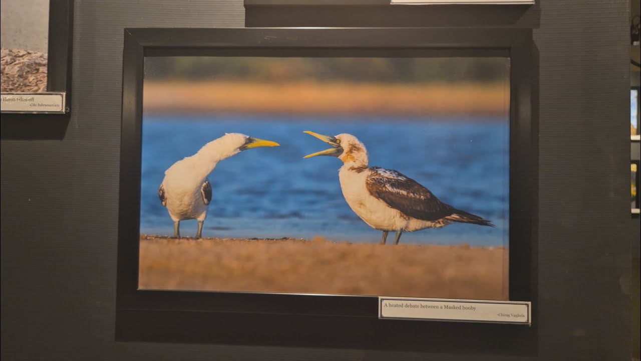 15th Annual Photography Exhibition - 
