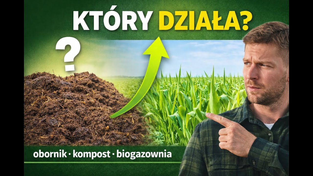 Masz obornik? Zobacz, ile naprawdę daje glebie