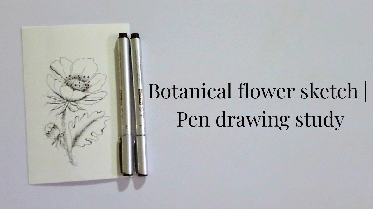 Botanical Flower Sketch | Pen Drawing Study