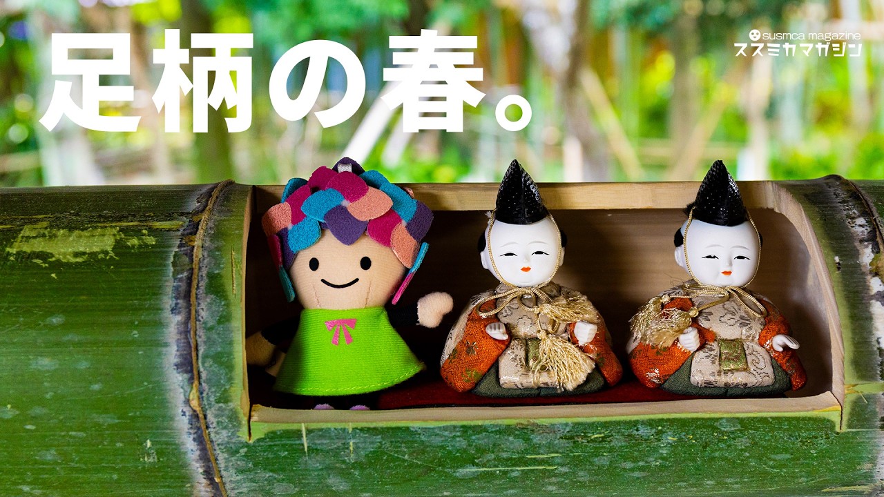 あしがらの春を訪ねて | あしがり郷　瀬戸屋敷ひなまつり と まつだ桜まつり #travel 